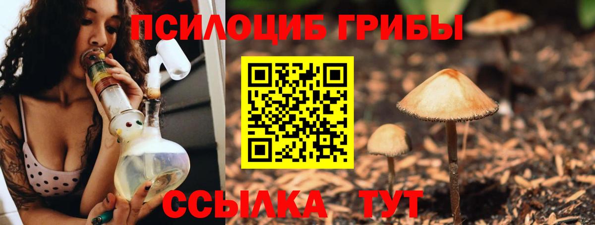 Галлюциногенные грибы мухоморы  Вход с VPN  Луга  Галлюциногенные грибы мухоморы 